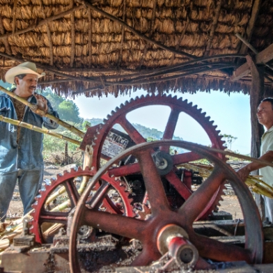 Bei Paranubes Rum in Mexiko