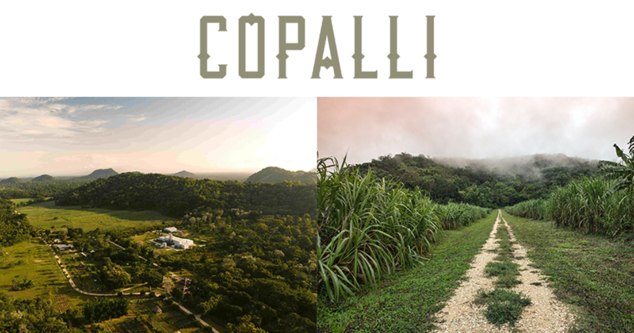 Copal Tree Distillery